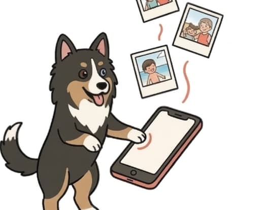 Upload your photos